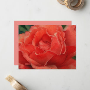 Coral Pink Rose Flower Art Note Card Set