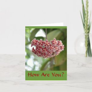 CORAL PINK&WHITE COLOR FLOWER W/ STAR-SHAPED PETAL CARD