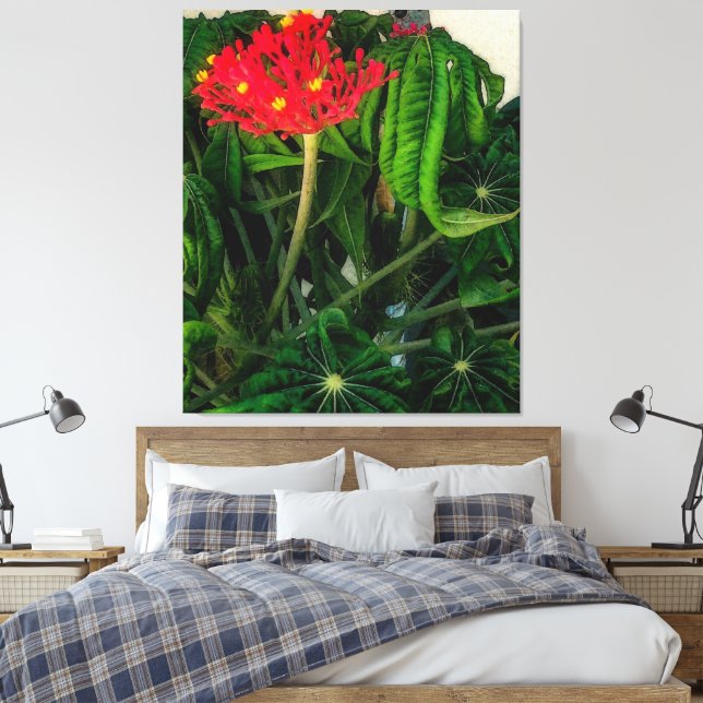 Coral Plant Leaves and Flowers Canvas Print (Insitu(Bedroom))