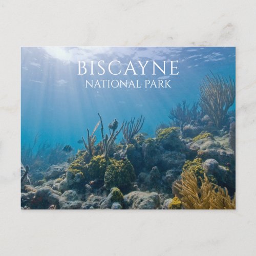 Coral Plants Fish Biscayne National Park FL Postcard