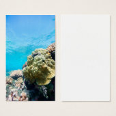Coral reef (Front & Back)