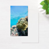 Coral reef (Desk)