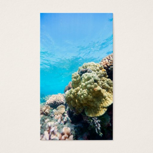 Customizable Coral reef business cards