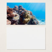 Coral reef (Front & Back)