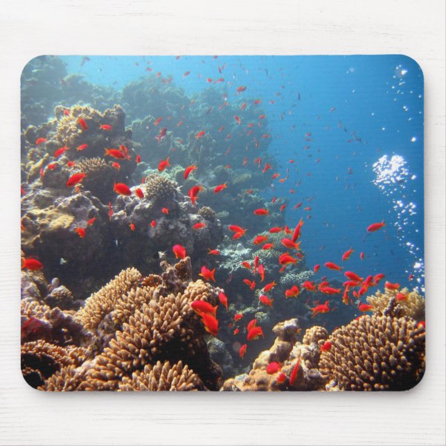 Coral Reef 01 Mouse Pad (Front)