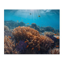 Coral Reef Acrylic Wall Art