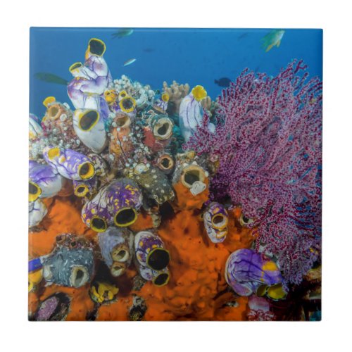 Coral Reef and Fish Ceramic Tile