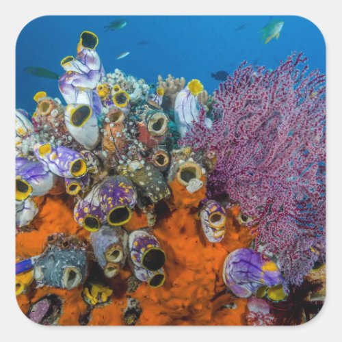 Coral Reef and Fish Square Sticker
