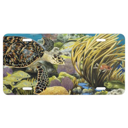 Coral Reef and Hawksbill Sea Turtle license Tag License Plate