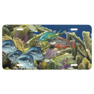 Coral Reef and Reef Fish license Tag License Plate