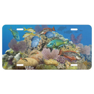Coral Reef and Reef Fish license Tag License Plate