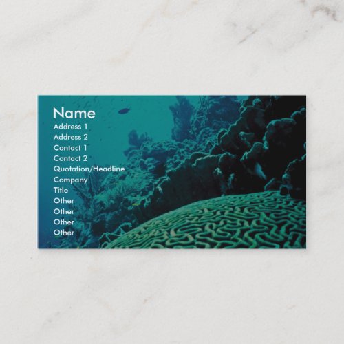 Coral Reef Business Cards