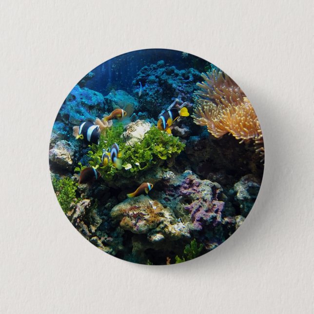 Coral Reef buttons (Front)