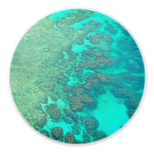 Coral reef ceramic knob