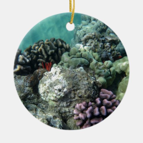 Coral reef ceramic ornament