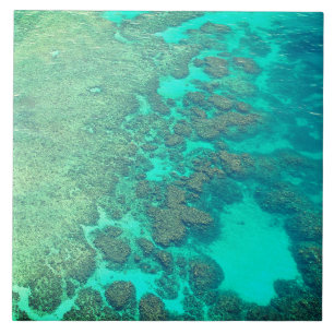 Coral reef ceramic turquoise ocean water tile