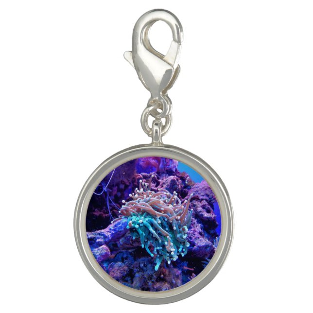 Coral reef charm (Front)