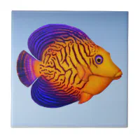 chevron tang fish