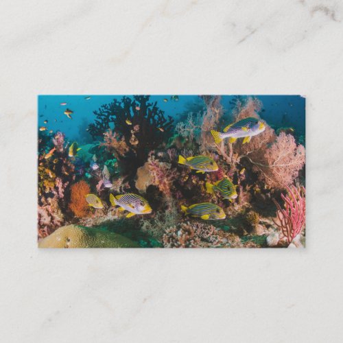 Coral Reef custom business cards