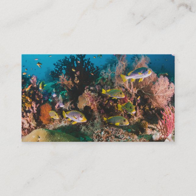 Coral Reef custom business cards (Front)
