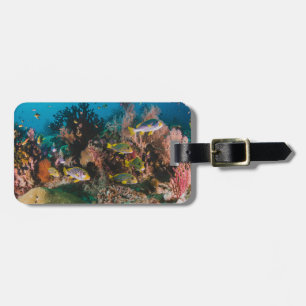 Coral Reef custom luggage tag