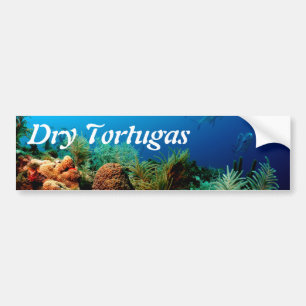 Coral Reef, Dry Tortugas National Park, Florida Bumper Sticker