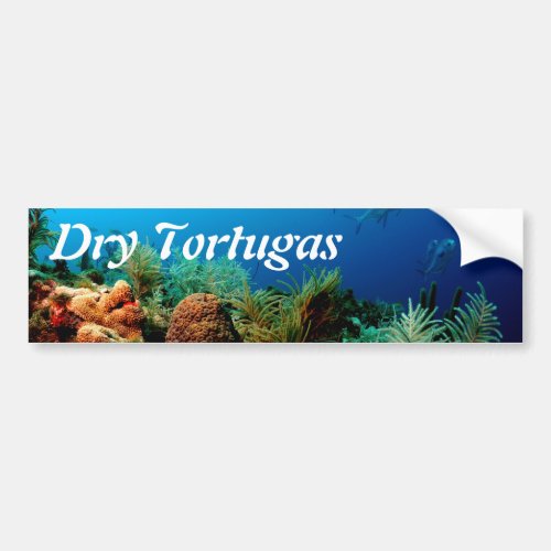 Coral Reef Dry Tortugas National Park Florida Bumper Sticker