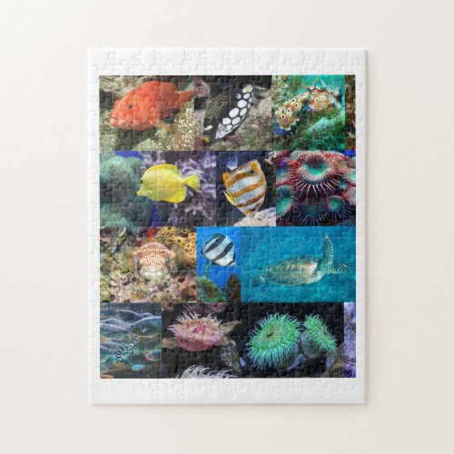 Coral Reef Fish Animals Photos Age 8 252 Pieces Jigsaw Puzzle