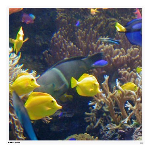 Coral Reef Fish Wall Decal