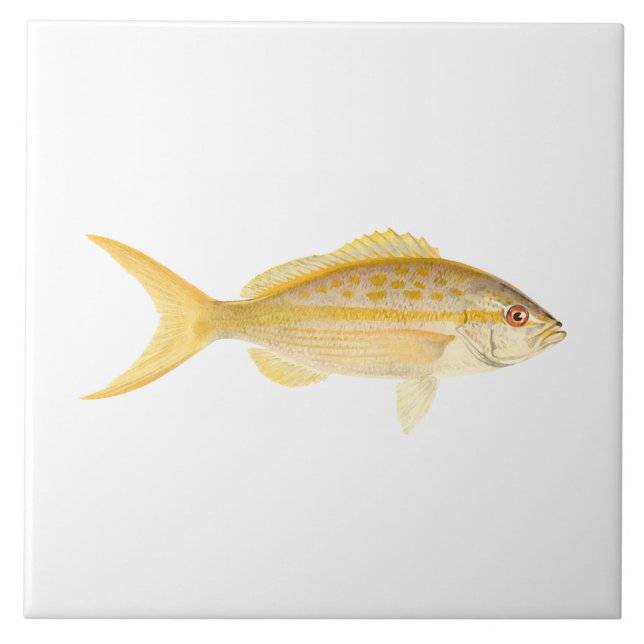 Coral Reef Fish - Yellowtail Snapper Ceramic Tile (Front)