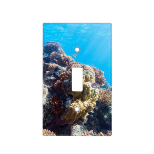 Coral reef light switch cover
