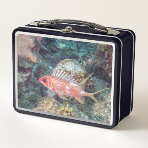 Coral Reef Longspine Squirrelfish Silvery Red Metal Lunch Box