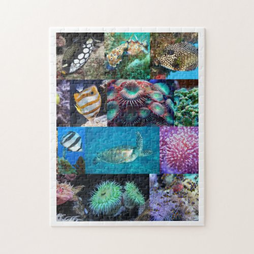 Coral Reef Marine Fish Animals Age 8 252 Pieces Jigsaw Puzzle