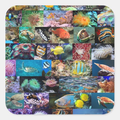 Coral Reef Marine Fish Animals Nature Enthusiasts Square Sticker