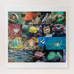 Coral Reef Marine Life Collage, Age 10, 676 Pieces Jigsaw Puzzle