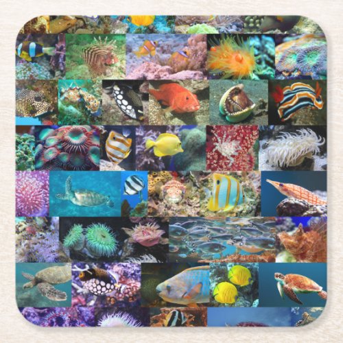 Coral Reef Marine Life Fish and Animals Photos Square Paper Coaster