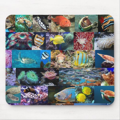 Coral Reef Marine Life Fish Animals Nature Lovers Mouse Pad