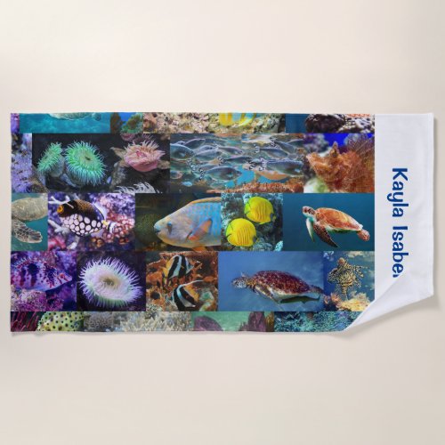 Coral Reef Marine Life Fish Animals Photos Name Be Beach Towel