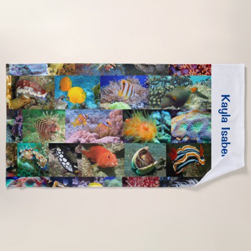 Coral Reef Marine Life Fish Animals Photos Name Beach Towel