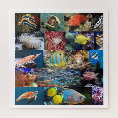 Coral Reef Marine Life Photos Age 11 676 Pcs Jigsaw Puzzle