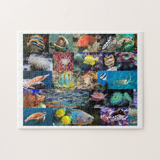 Coral Reef Marine Life Photos, Age 8, 252 Pieces Jigsaw Puzzle (Horizontal)