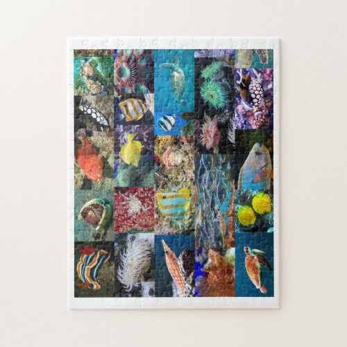 Coral Reef Marine Life Photos Age 8 252 Pieces Jigsaw Puzzle