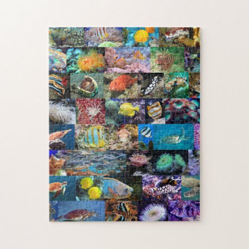 Coral Reef Marine Photo Collage Age 8 252 Pieces Jigsaw Puzzle