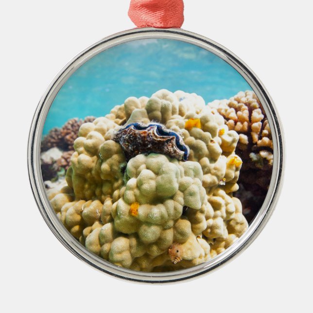 Coral reef metal ornament (Front)