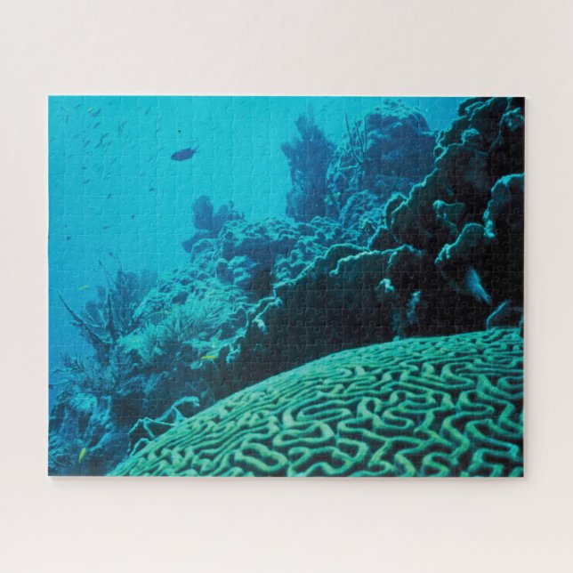 Coral Reef Oasis Jigsaw Puzzle (Horizontal)