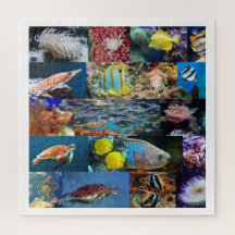 Coral Reef Ocean Fish Animals, Age 11, 676 Pieces