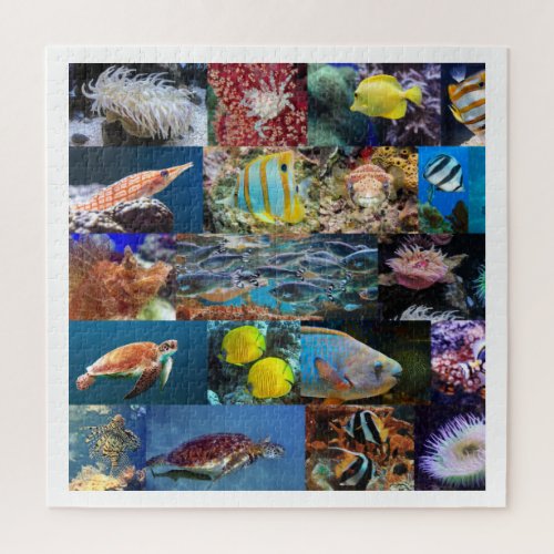 Coral Reef Ocean Fish Animals Age 11 676 Pieces Jigsaw Puzzle