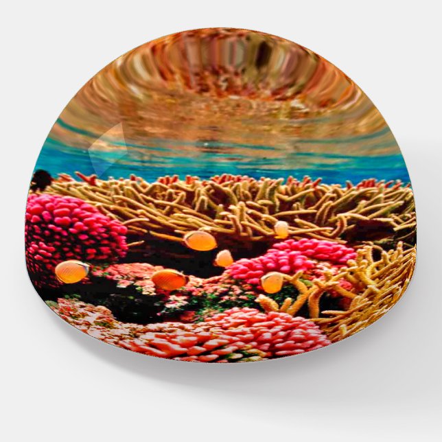 Coral reef paperweight (Angled)