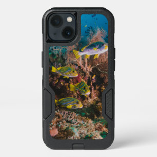 Coral Reef phone cases