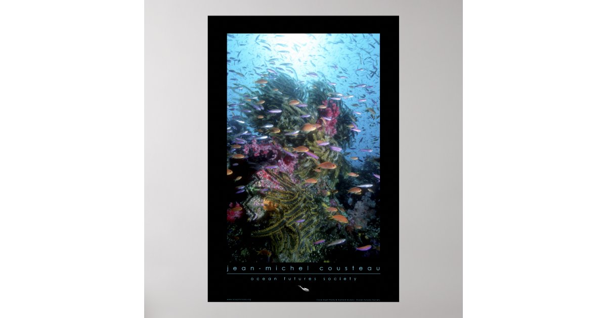 Coral Reef Poster | Zazzle